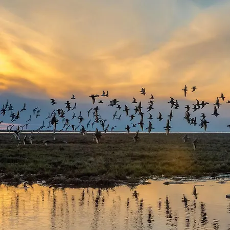 Finlandia Airport Oulu 3* Kempele