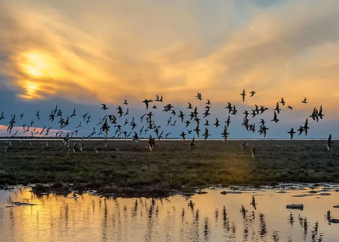 Finlandia Airport Oulu 3* Kempele